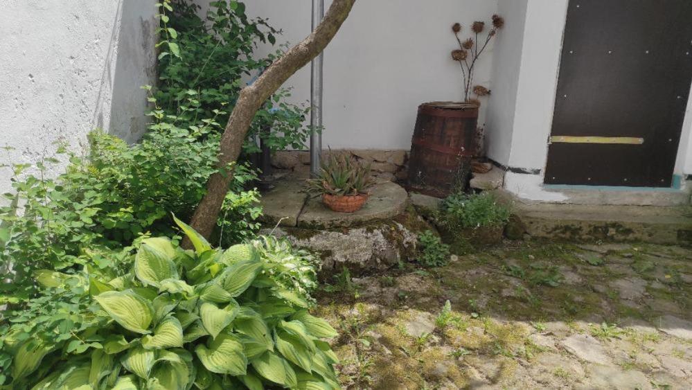 Ubytování Pod Jilmem Zumberk Exterior foto